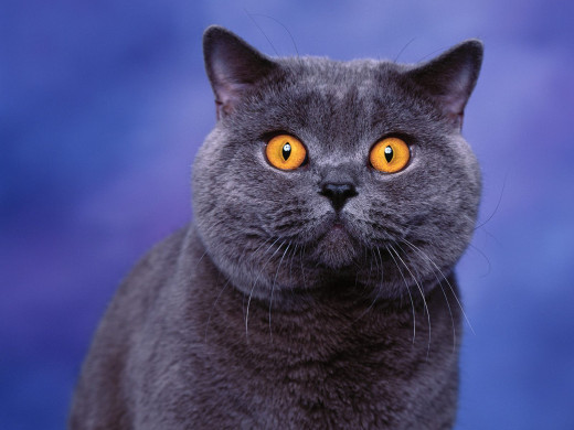 348449 (a): :1600x1200